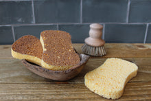 Load image into Gallery viewer, Eco nut shell sponge