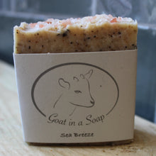 Load image into Gallery viewer, Handmade goats milk soap ~ 140g ~ By Goat in a Soap