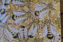 Load image into Gallery viewer, Wild Tribe Heroes book ~ Ziggy's Frightening Flight