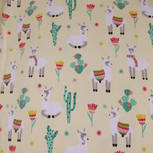 Load image into Gallery viewer, Re-usable Cloth Nappy in Cotton Jersey ~ By Albert Postlewait