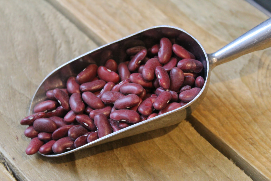 Organic kidney Beans ~100g