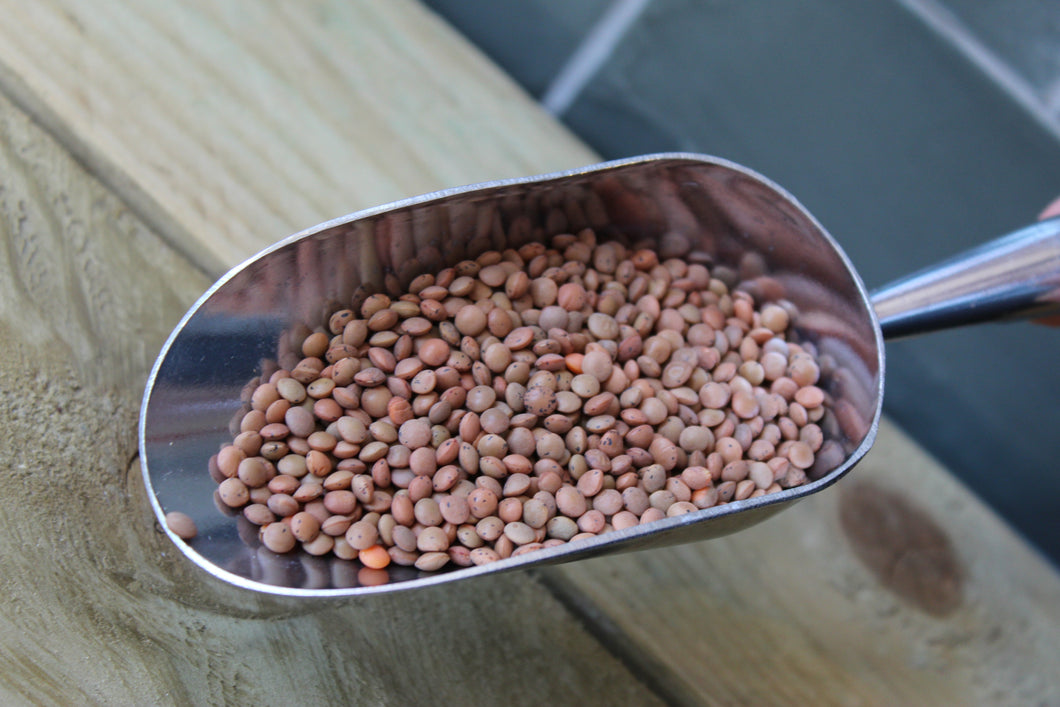 Organic Brown Lentils ~ 100g