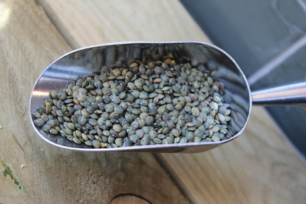 Organic Green Lentils ~100g
