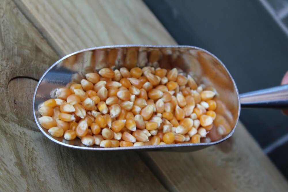 Popping Corn ~ per 100g