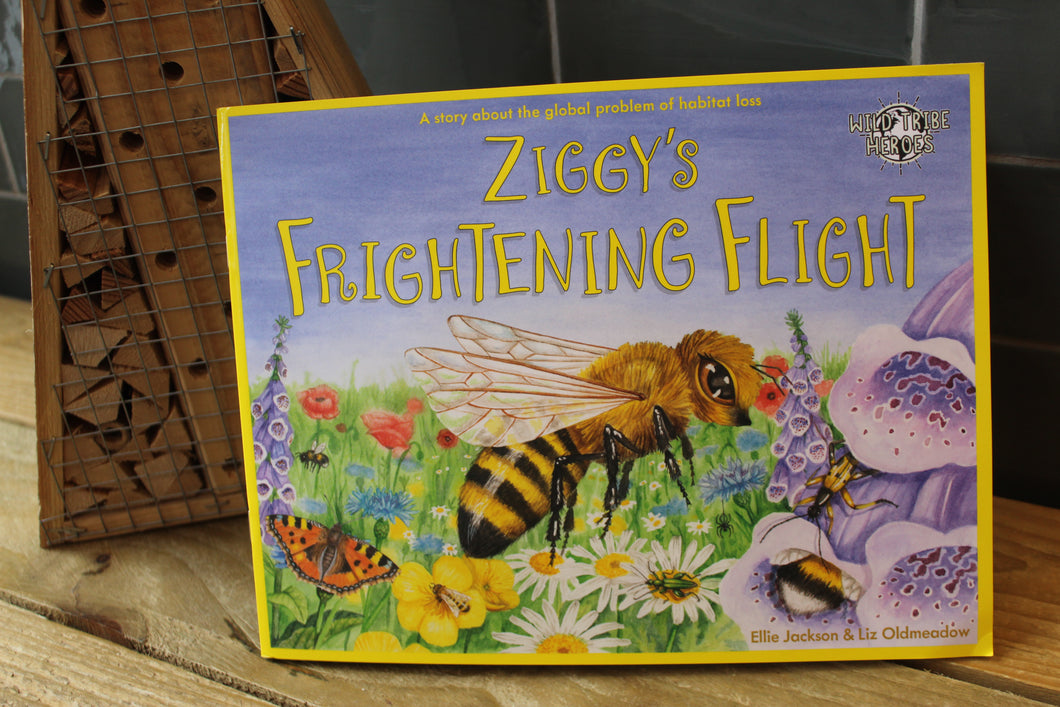 Wild Tribe Heroes book ~ Ziggy's Frightening Flight